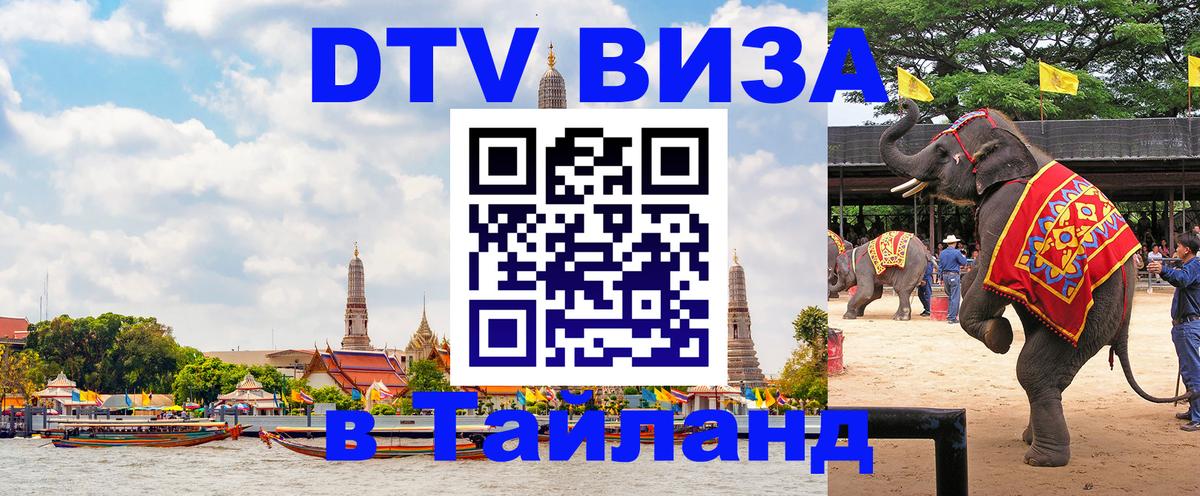Оформление DTV визы под ключ: стоимость и тарифы, только загранпаспорт - Веллингтон 